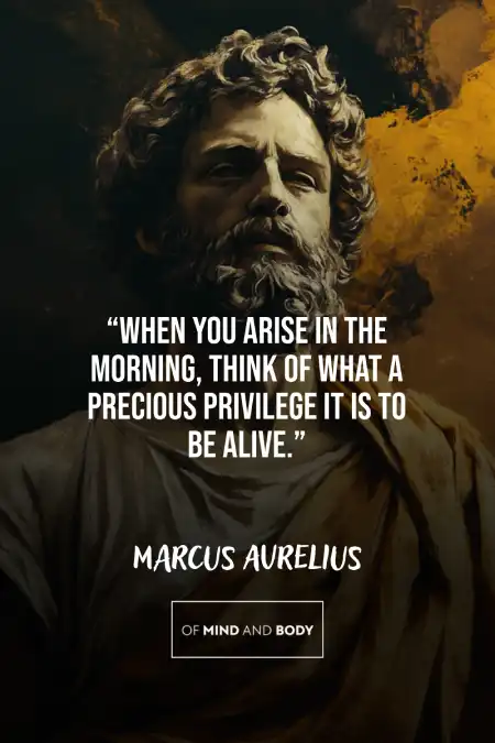 Marcus Aurelius Quotes